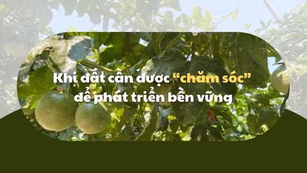 Khi đất cần được “chăm sóc” để phát triển bền vững