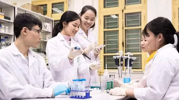 (Ảnh minh họa: BND)