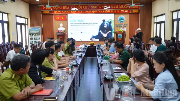 Toàn cảnh tọa đàm. (Ảnh: LÊ CHÍ)