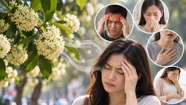 (Ảnh minh họa do AI thiết kế)