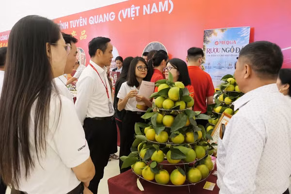 Tỉnh Tuyên Quang tổ chức hội nghị kết nối cung-cầu và tiêu thụ sản phẩm của tỉnh với hệ thống siêu thị Go!. (Ảnh: KHÁNH TOÀN)