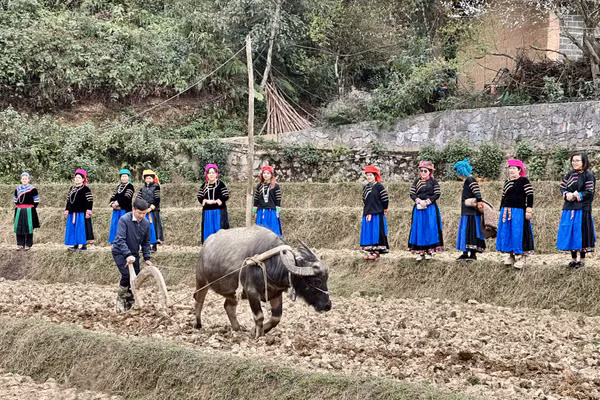 Sau nghi lễ Pặt Oong, người dân tộc Pu Péo, thôn Chúng Trải, xã Phố Bảng bước vào vụ gieo trồng mới.