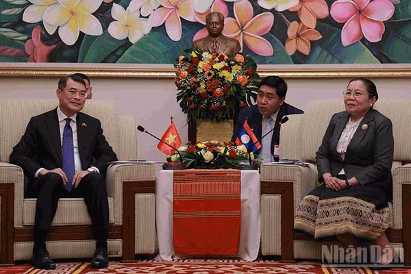 Đồng chí Lê Minh Hưng trao đổi với Trưởng Ban Tổ chức Trung ương Đảng Nhân dân Cách mạng Lào. (Ảnh: DUY TOÀN)