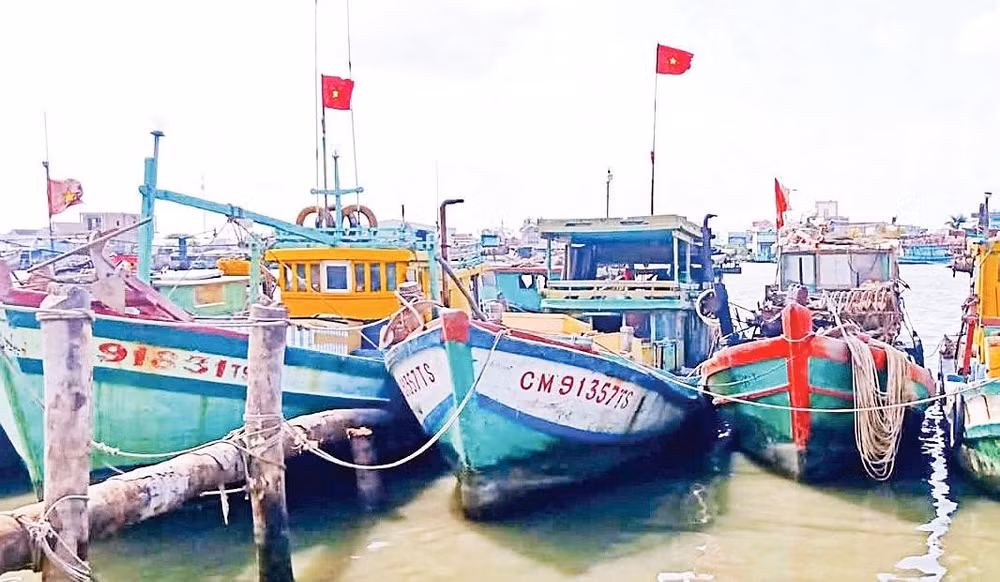 Đội tàu cá đánh bắt hải sản vùng ven biển thành phố Cần Thơ.