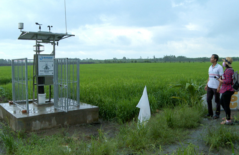 Hệ thống giám sát côn trùng thông minh tại xã Mỹ Đông, huyện Tháp Mười, tỉnh Đồng Tháp. (Ảnh: Đặng Tuyết) Hệ thống giám sát côn trùng thông minh tại xã Mỹ Đông, huyện Tháp Mười, tỉnh Đồng Tháp. (Ảnh: Đặng Tuyết)
