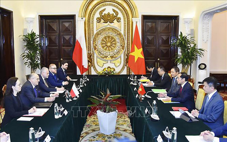 Bộ trưởng Ngoại giao Bùi Thanh Sơn hội đàm với Bộ trưởng Ngoại giao Cộng hòa Ba Lan Zbigniew Rau. (Ảnh: TTXVN)