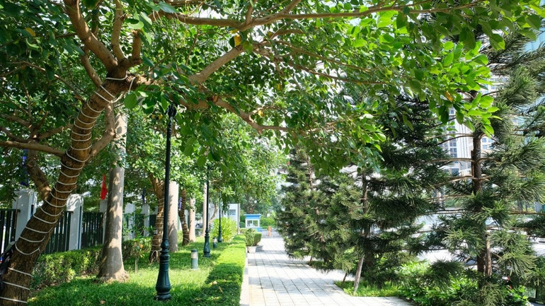 Hầu hết mọi người lần đầu đến đây đều bị ấn tượng bởi mật độ dày đặc của những vườn hoa, cây cảnh, hồ cá Koi, tiểu cảnh,… được chăm chút cẩn thận nhưng vẫn giữ được sự giao hòa gần gũi với tự nhiên. Hầu hết mọi người lần đầu đến đây đều bị ấn tượng bởi mật độ dày đặc của những vườn hoa, cây cảnh, hồ cá Koi, tiểu cảnh,… được chăm chút cẩn thận nhưng vẫn giữ được sự giao hòa gần gũi với tự nhiên.