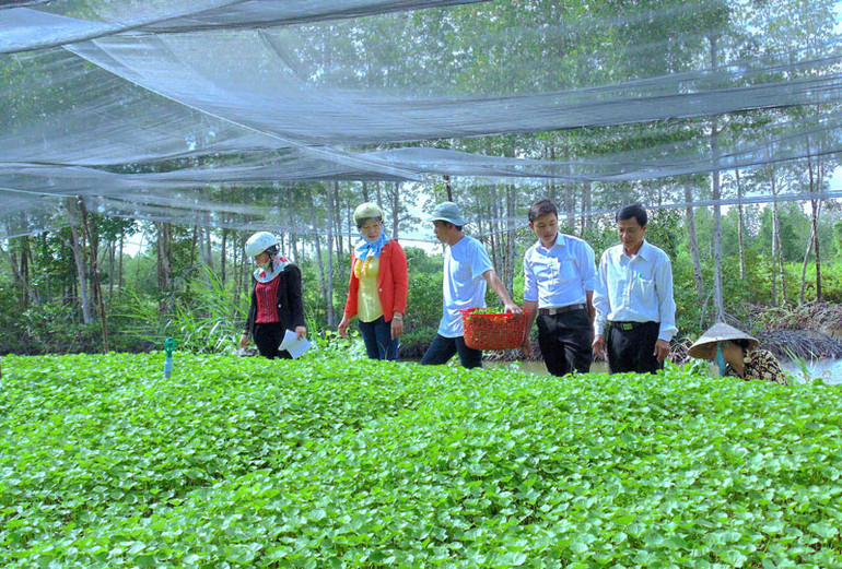 Cán bộ dân vận cơ sở tại Cà Mau vận động nhân dân tận dụng đất trống trồng rau, tăng gia sản xuất có thêm thu nhập.