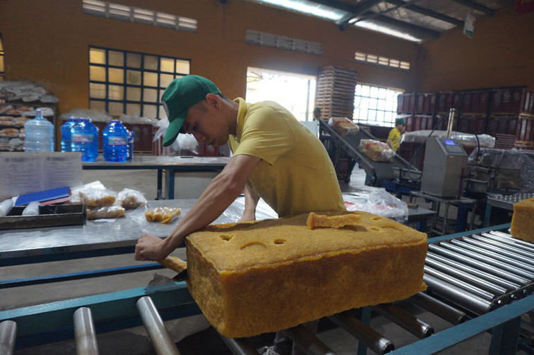 Công nhân chế biến mủ cao-su tại Nhà máy Chế biến Trung tâm Công ty Cao-su Phú Riềng tại xã Phú Riềng, huyện Phú Riềng, tỉnh Bình Phước. Công nhân chế biến mủ cao-su tại Nhà máy Chế biến Trung tâm Công ty Cao-su Phú Riềng tại xã Phú Riềng, huyện Phú Riềng, tỉnh Bình Phước.