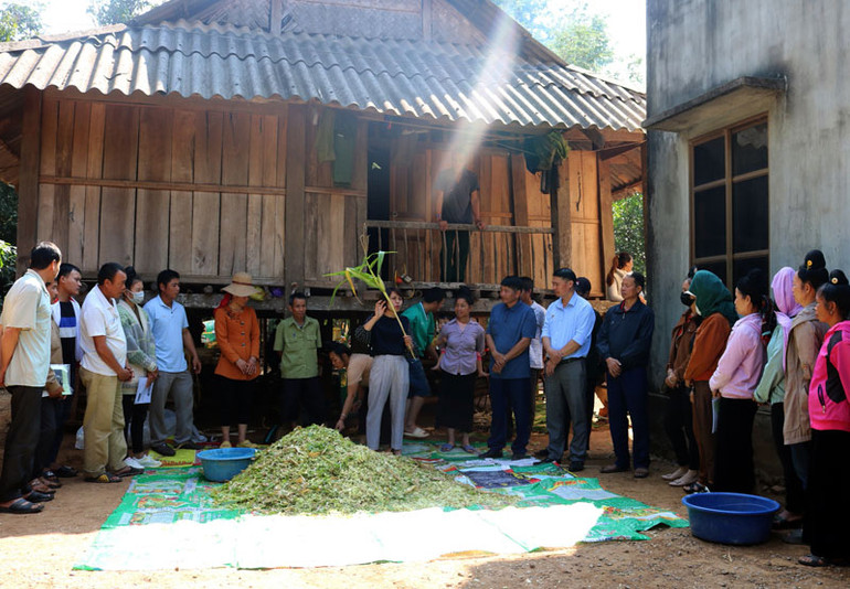 Một buổi tập huấn kỹ thuật ủ chua thức ăn gia súc cho người dân và thanh niên người dân tộc tại xã Chiềng Sàng, huyện Yên Châu.