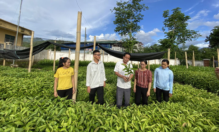 Người dân huyện Tuần Giáo tham gia tập huấn kỹ thuật trồng, chăm sóc rừng trồng.