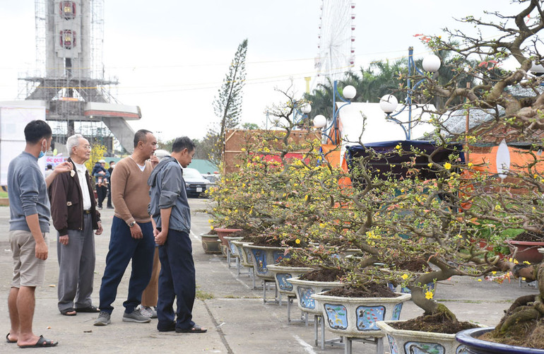 Lác đác một vài khách đến xem cây.