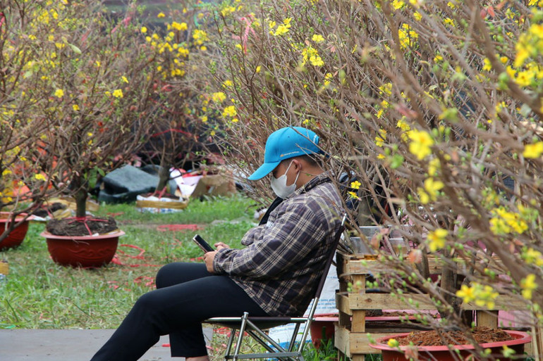 Các chủ vườn ngồi chờ khách đến mua cây.