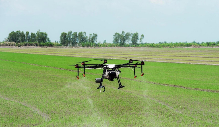 Sử dụng flycam phun thuốc cỏ cho các cánh đồng lúa ở HTX Hòa Quang Bắc, huyện Phú Hòa, Phú Yên. Sử dụng flycam phun thuốc cỏ cho các cánh đồng lúa ở HTX Hòa Quang Bắc, huyện Phú Hòa, Phú Yên.
