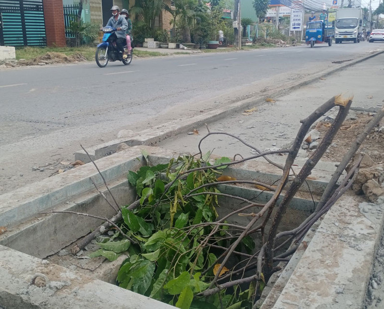 Dùng nhánh cây để đậy nắp cống. Dùng nhánh cây để đậy nắp cống.