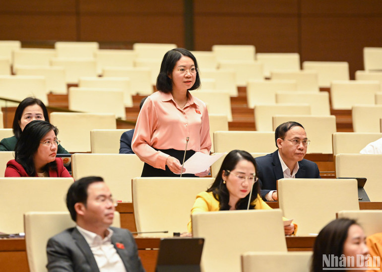 Đại biểu Quốc hội tỉnh Nam Định Mai Thị Phương Hoa phát biểu chất vấn. Đại biểu Quốc hội tỉnh Nam Định Mai Thị Phương Hoa phát biểu chất vấn.