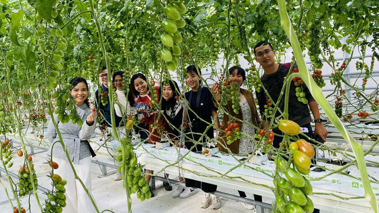 Các nông trại ở Fukushima trở thành điểm đến du lịch hấp dẫn. Các nông trại ở Fukushima trở thành điểm đến du lịch hấp dẫn.