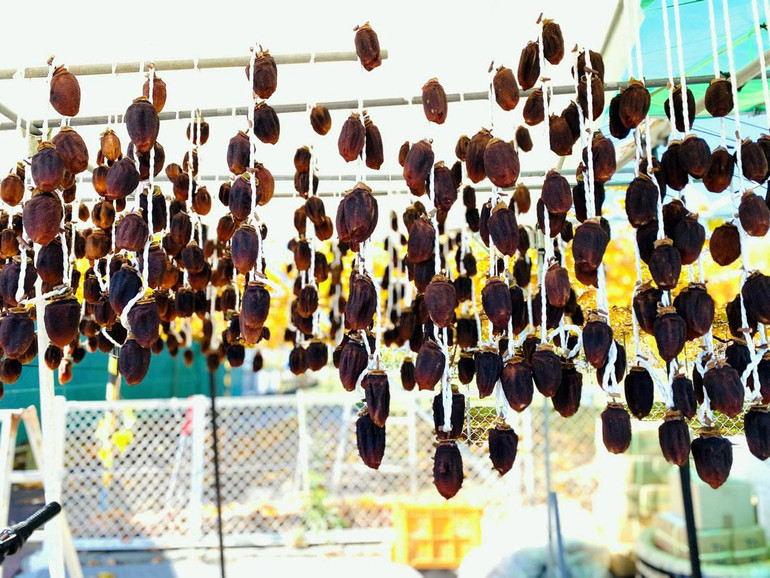 Hồng treo gió tại vườn Azuma. Hồng treo gió tại vườn Azuma.