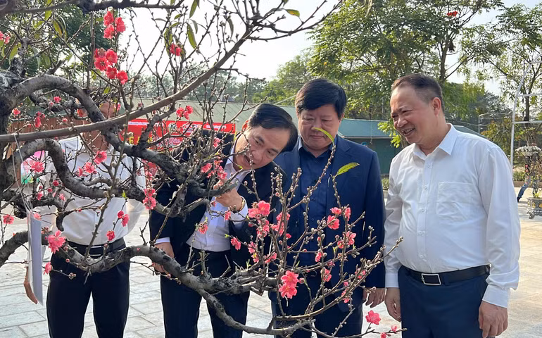 Các đại biểu trao đổi về vẻ đẹp của các tác phẩm trong Hội thi Hoa đào truyền thống Hà Nội 2024 tổ chức tại Nhật Tân. (Ảnh: Thành Đô)