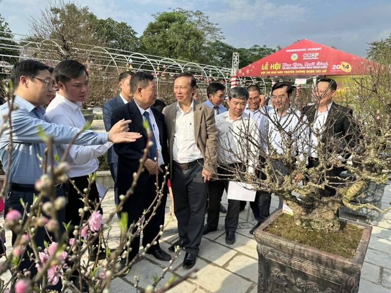 Các đại biểu trao đổi về vẻ đẹp của các tác phẩm trong Hội thi Hoa đào truyền thống Hà Nội 2024 tổ chức tại Nhật Tân. (Ảnh: Thành Đô)