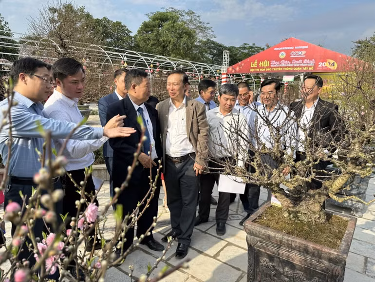 Các đại biểu trao đổi về vẻ đẹp của các tác phẩm trong Hội thi Hoa đào truyền thống Hà Nội 2024 tổ chức tại Nhật Tân. (Ảnh: Thành Đô)