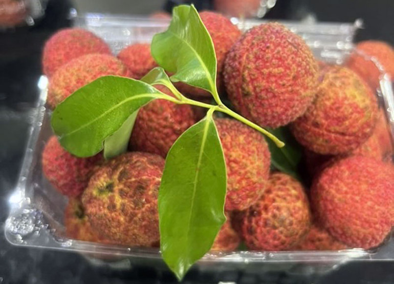 Vải chín có màu đỏ rực, cùi giòn, vị ngọt nhẹ, thanh với đặc điểm không hạt phù hợp với người tiêu dùng Anh.