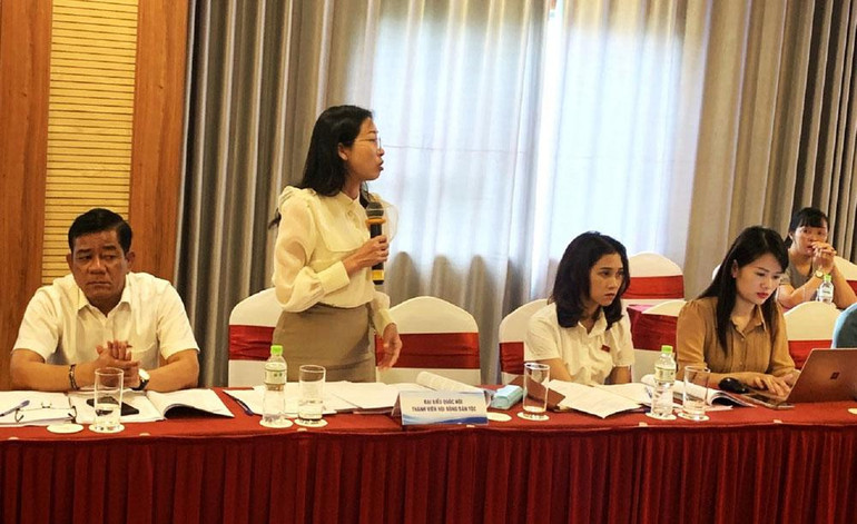 Các đại biểu thảo luận tại phiên họp. Các đại biểu thảo luận tại phiên họp.