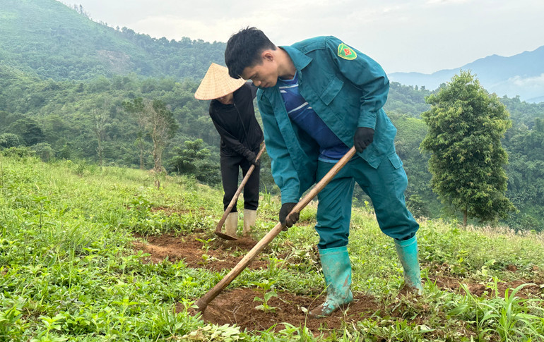 Được hỗ trợ học nghề, nông dân bản Bua 2, xã Ẳng Tở, huyện Mường Ảng đã tự tin mở rộng diện tích trồng cây cà-phê của gia đình.