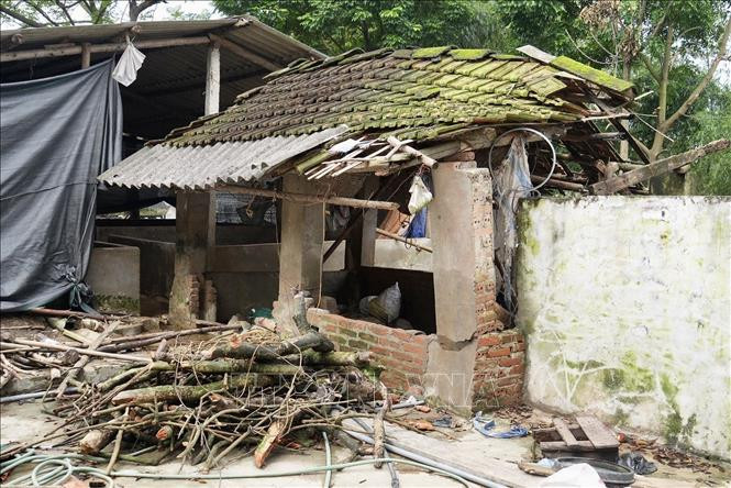 Một nhà dân bị ảnh hưởng bởi sạt lở đê tả Lô.