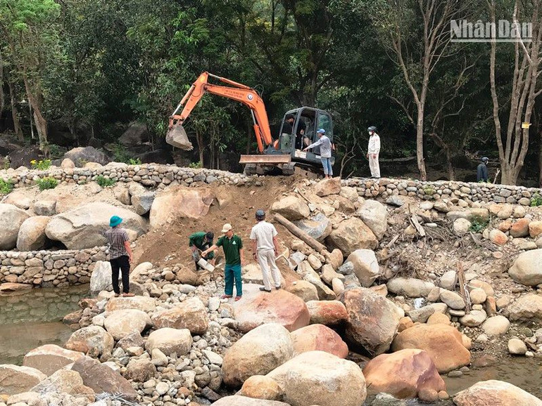 Doanh nghiệp cam kết tháo dỡ vi phạm trong vòng 7 ngày, kể từ ngày 31/3.