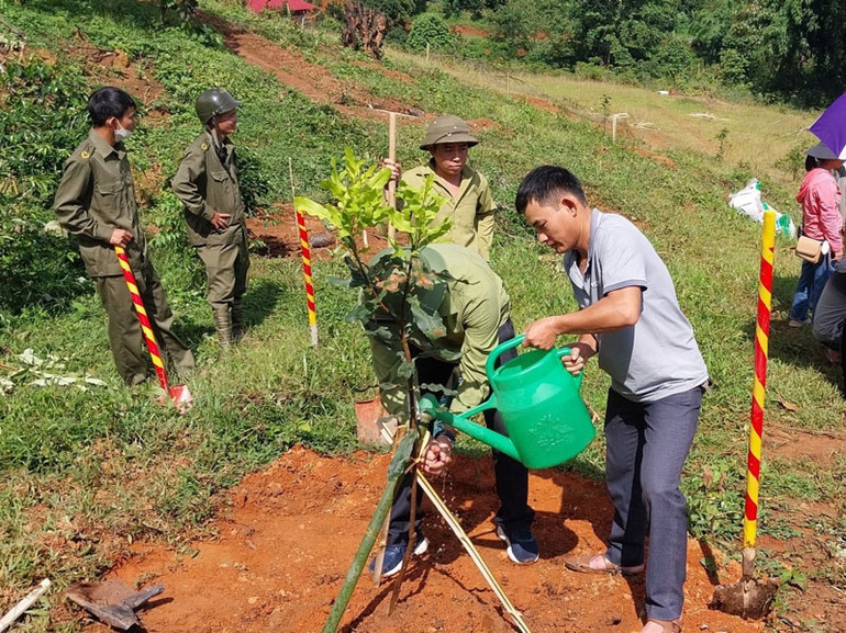 Cán bộ, nhân dân huyện Tuần Giáo tham gia trồng cây mắc ca tại Lễ phát động trồng cây mắc ca do Ủy ban nhân dân huyện Tuần Giáo tổ chức.