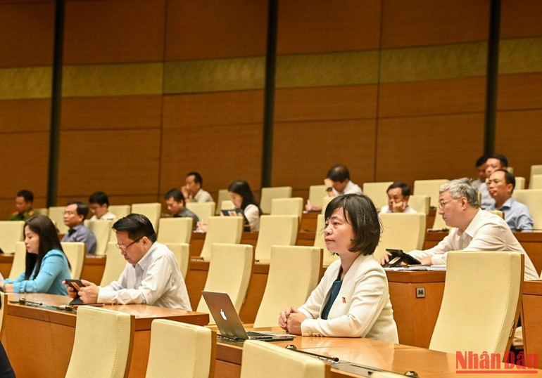 Các đại biểu Quốc hội dự phiên họp tại phòng Diên Hồng.