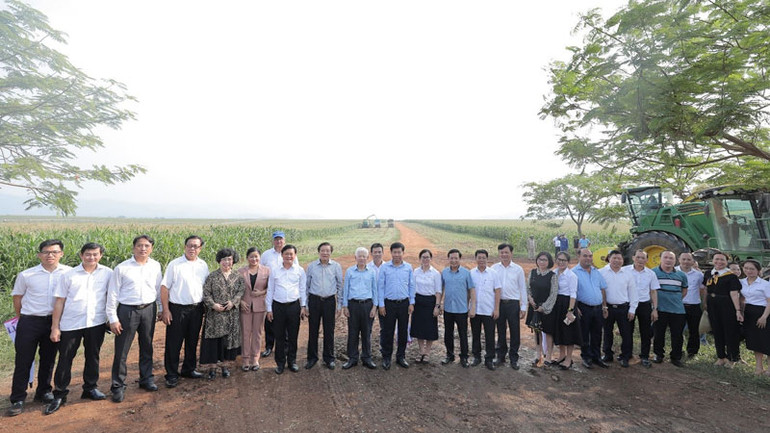 Đoàn công tác thăm những cánh đồng nguyên liệu ứng dụng công nghệ hiện đại của Cụm trang trại bò sữa TH.