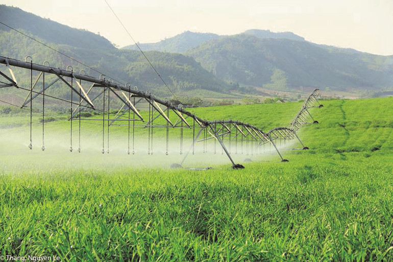 TH có 15 cánh tay tưới nước tự động, hiện đại bậc nhất trên thế giới, lập trình theo nhu cầu cây trồng và độ ẩm đất mong muốn.