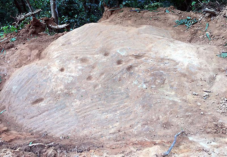 Một phiến đá sa thạch có khắc ruộng bậc thang.