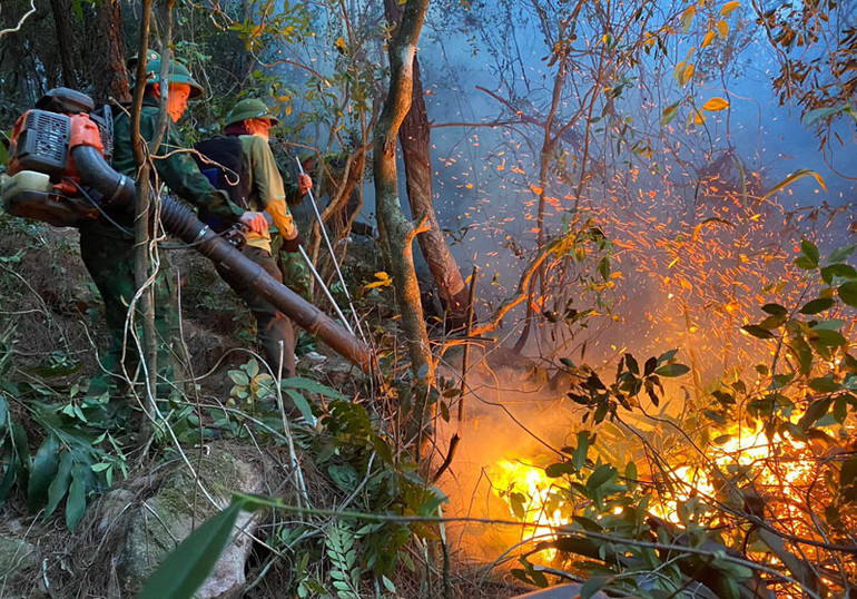 Dùng máy thổi dập lửa.