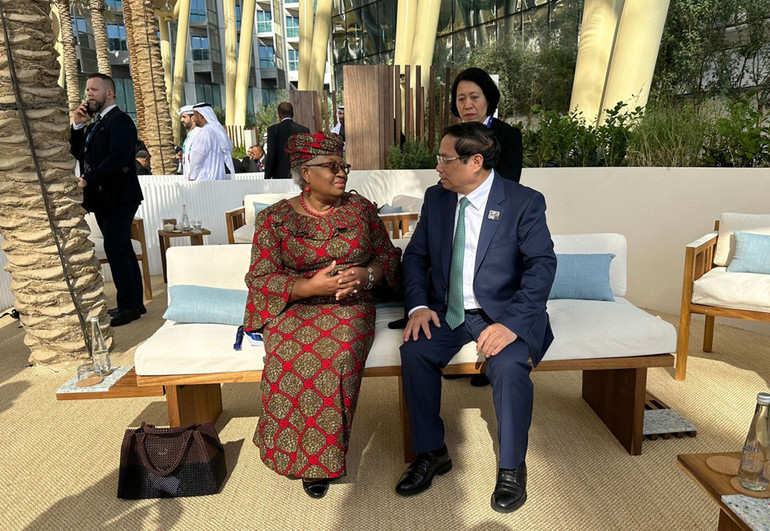 Thủ tướng Phạm Minh Chính gặp Tổng Giám đốc Tổ chức Thương mại Thế giới (WTO).