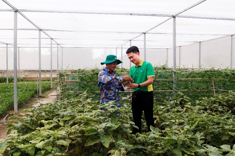 Hướng dẫn các chiến sĩ sử dụng phân bón để chăm sóc cây trồng hiệu quả.