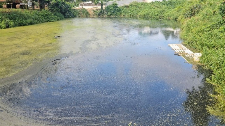 Hồ chứa nước phục vụ sản xuất ô nhiễm nghiêm trọng. ho-chua-nuoc-phuc-vu-san-xuat-o-nhiem-nghiem-trong.jpg