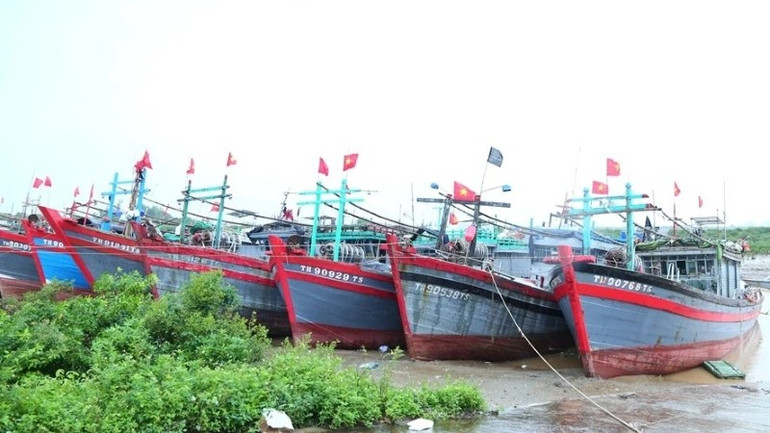 Khu neo đậu tàu thuyền tại Cảng cá Hòa Lộc, xã Hoa Lộc. khu-neo-dau-tau-thuyen-tai-cang-ca-hoa-loc-xa-hoa-loc.jpg