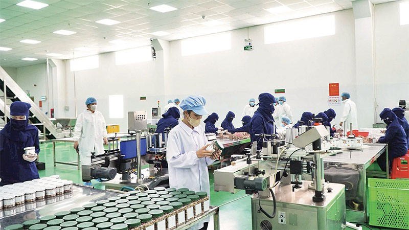 Khu vực sản xuất của Công ty cổ phần Tập đoàn Gia Bảo, tỉnh Đồng Nai.