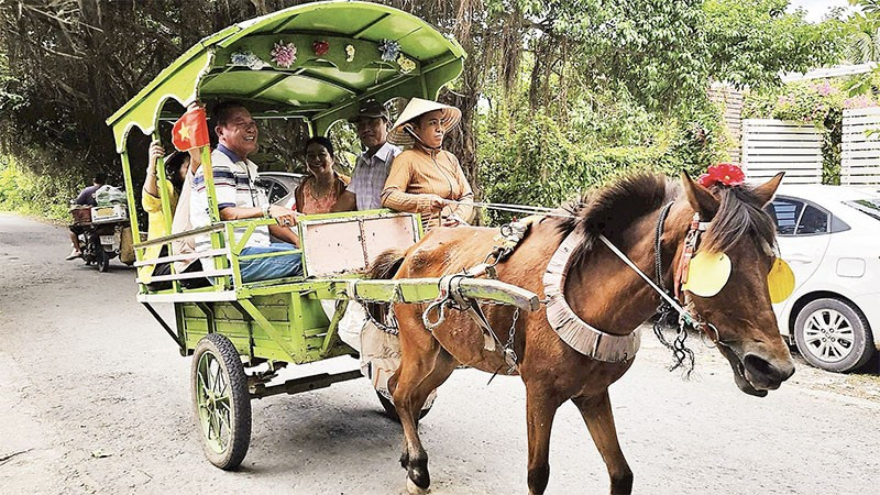 Du khách trải nghiệm trên xe ngựa ở cù lao Thới Sơn.