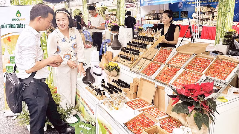 Gian hàng nông sản của doanh nghiệp nhỏ tại một hội chợ mới đây ở thành phố (Ảnh HOÀNG LIÊM)