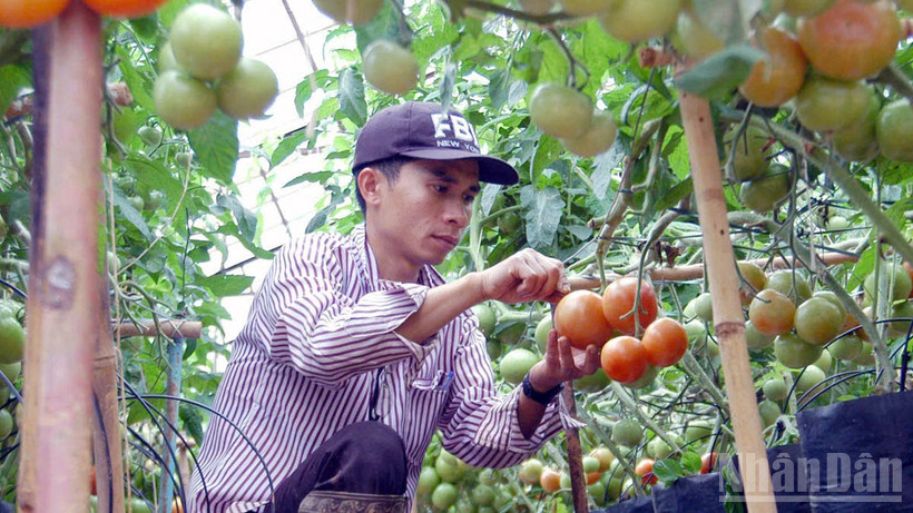 Lâm Đồng tiến hành rà soát, xác định nông hộ có mức sống trung bình.