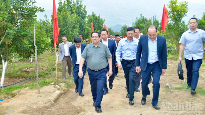 Thủ tướng Chính phủ Phạm Minh Chính thăm mô hình phát triển kinh tế nông nghiệp, trồng cây mắc-ca tại xã Pu Nhi. (Ảnh: THANH GIANG)