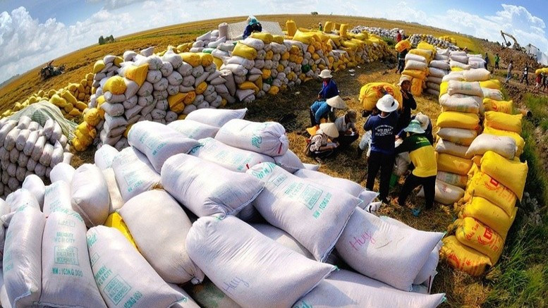 Thủ tướng Chính phủ yêu cầu tăng cường các giải pháp thúc đẩy sản xuất, xuất khẩu và ổn định thị trường gạo (Ảnh: VGP).