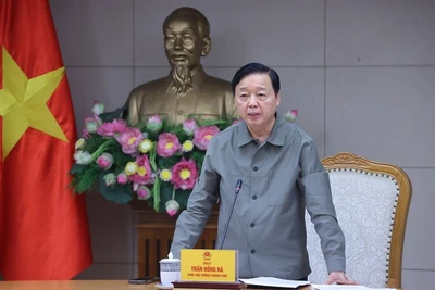 Phó Thủ tướng Chính phủ Trần Hồng Hà chủ trì cuộc họp. (Ảnh: VGP)