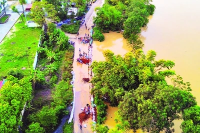 Xử lý sự cố đê điều tại xã Đa Phúc, Hà Nội. (Ảnh: PHẠM HẢI)