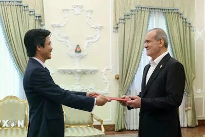Đại sứ Nguyễn Lương Ngọc trình Thư ủy nhiệm lên Tổng thống Iran Masoud Pezekian. (Nguồn: Thế giới và Việt Nam)