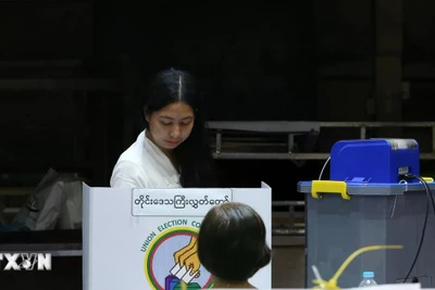 Cử tri bỏ phiếu trong giai đoạn 3 của cuộc tổng tuyển cử tại Yangon, Myanmar, ngày 25/1/2026. (Ảnh: THX/TTXVN)
